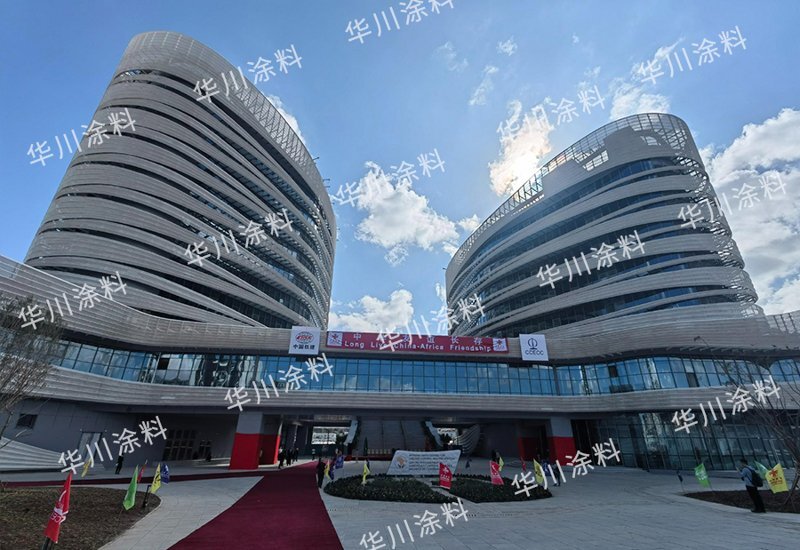 援非盟疾控中心防腐项目